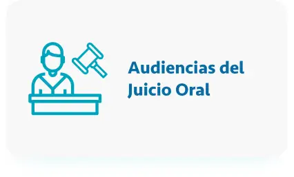 Abogado para audiencias de juicio oral ley 906 de 2004 colombia