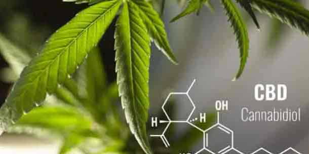 Abogados Especialistas en Tráfico de Drogas y Narcotráfico